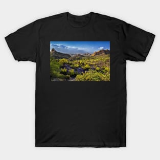Arizona's Desert Landscape T-Shirt